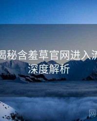 老用户揭秘含羞草官网进入流程复盘深度解析