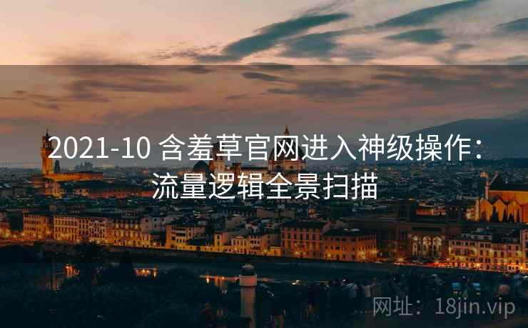 2021-10 含羞草官网进入神级操作：流量逻辑全景扫描