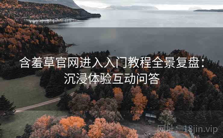 含羞草官网进入入门教程全景复盘：沉浸体验互动问答