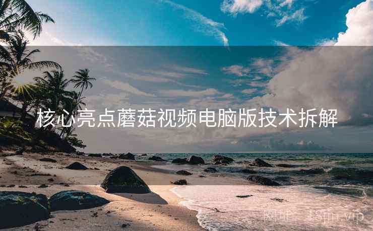 核心亮点蘑菇视频电脑版技术拆解